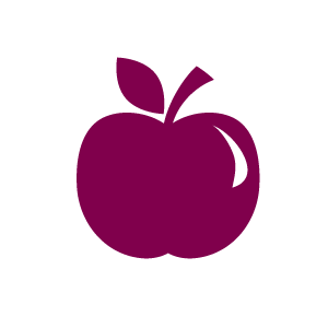 icon plan healthy meals